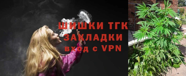 твердый Алзамай